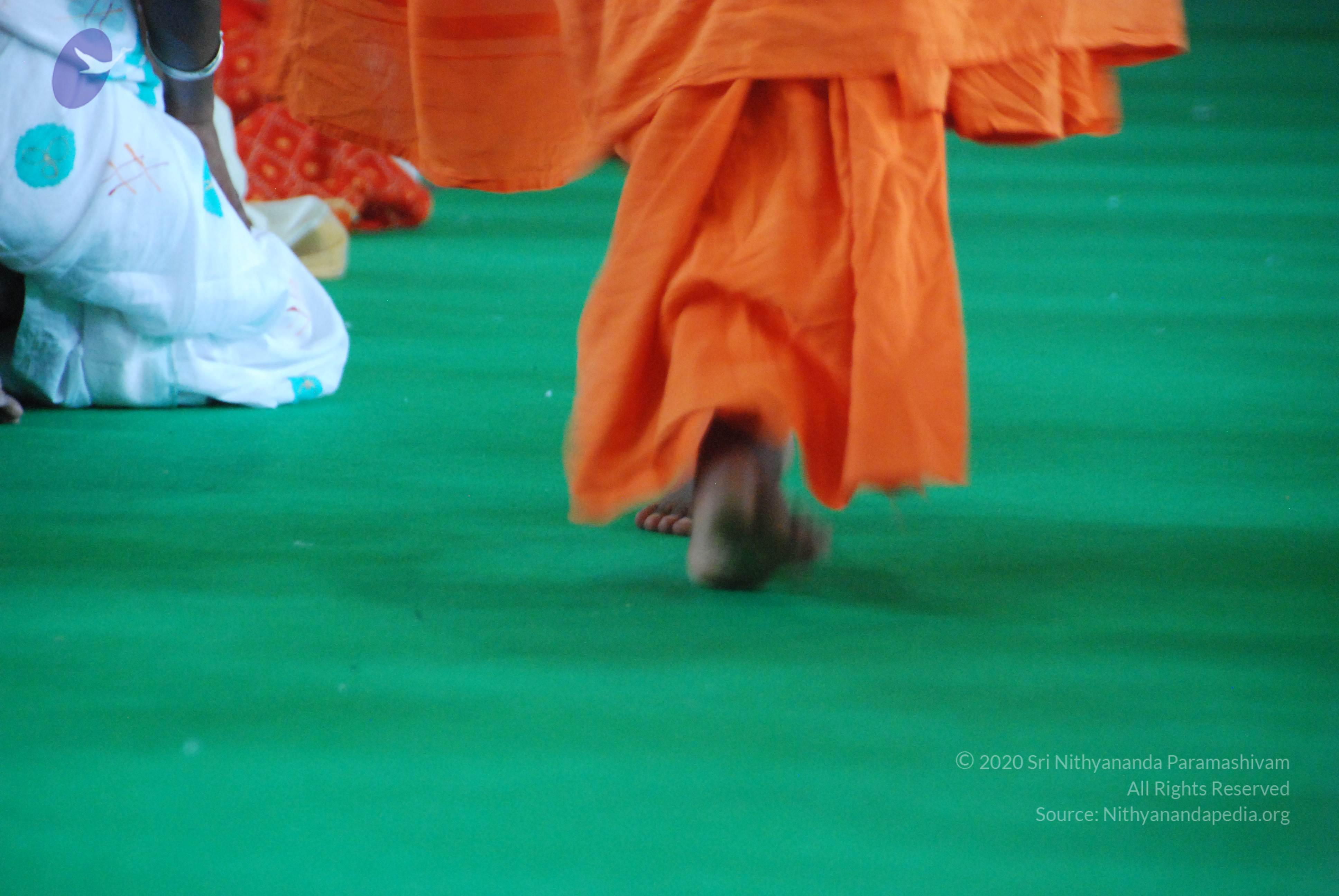 20100821_Photo_1082_DSC_6406_CMP_WM